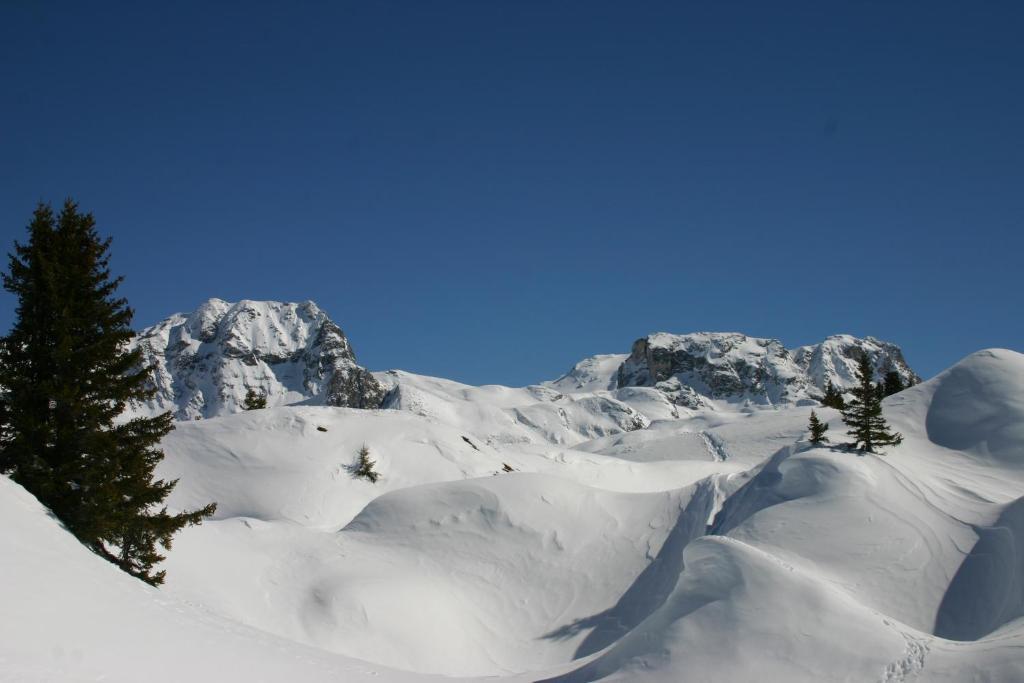 Madame Vacances Les Chalets Du Praz لا بلاني المظهر الخارجي الصورة